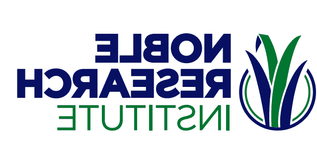 Noble 研究 Institute logo